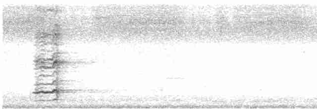 hjelmmunkefugl (gordoni/ammitophilus) - ML615527517