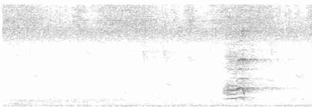 hjelmmunkefugl (gordoni/ammitophilus) - ML615527518