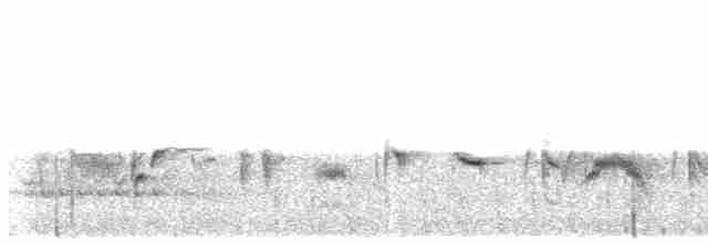 Blyth's Reed Warbler - ML615527650