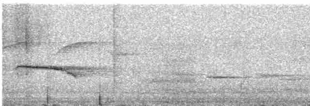 Long-billed Wren-Babbler - ML615527976