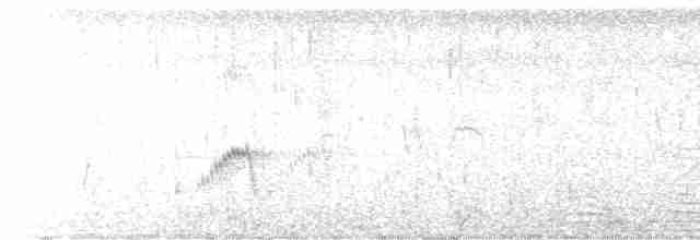 Striated Grassbird - ML615528001