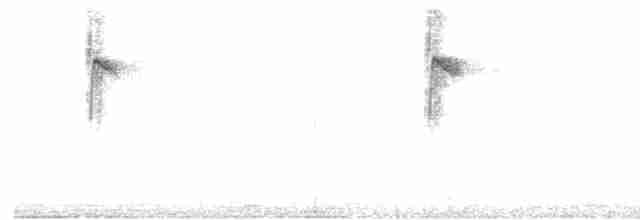 Purpurnektarvogel - ML615528157