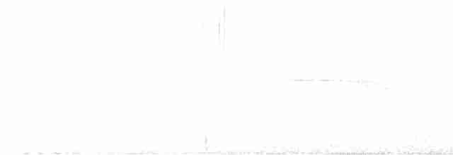 Breitspiegel-Nachtschwalbe - ML615529373