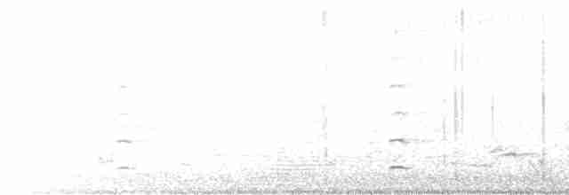 Güney Adası Sazhorozu - ML615530139