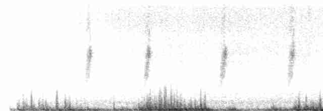 Tawny Grassbird - ML615530423