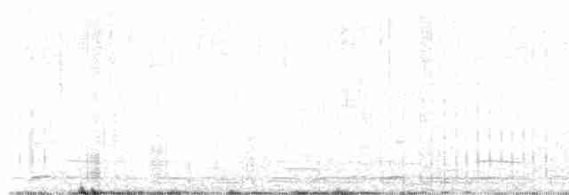 Beltxarga oihularia - ML615531543