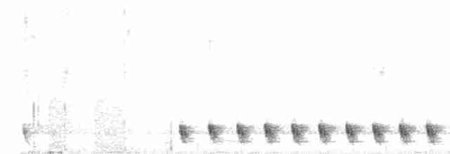 Gray Nightjar - ML615533275