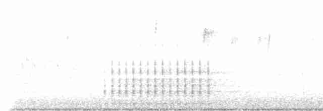 Downy Woodpecker - ML615533624