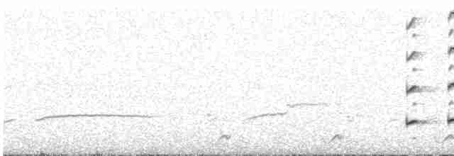 Buff-crested Bustard - ML615535314