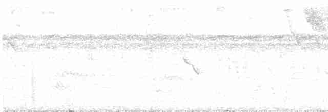 Лінивка-жовтоок двосмуга - ML615536395
