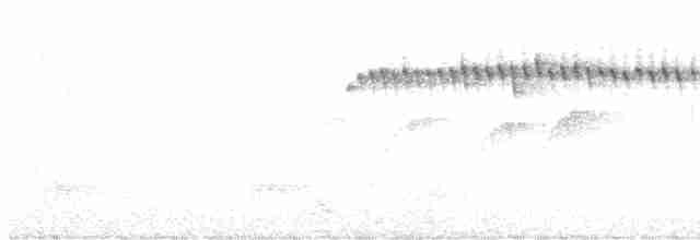 Kara Gerdanlı Nektarkuşu - ML615536995