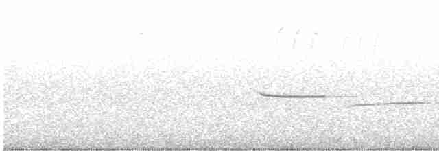 Common Merganser - ML615537393
