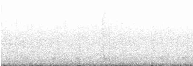 Common Merganser - ML615537537