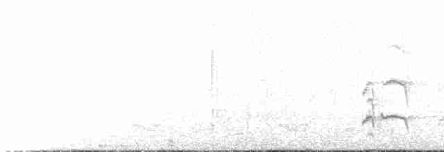 Бледногорлый миарх - ML615537814