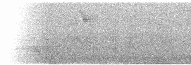Spotted Flycatcher - ML615540487