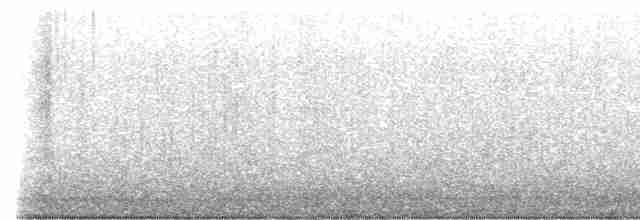 Mirlo Acuático Norteamericano - ML615541793