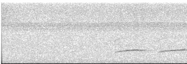Тиран-крихітка світлогорлий - ML615543188
