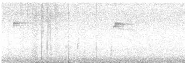 Saipan Reed Warbler - ML615546991