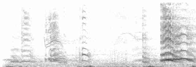 jeřáb mandžuský - ML615549492