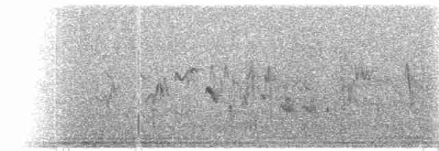 Balearengrasmücke - ML615552081