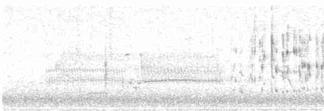 Болотный крапивник [группа palustris] - ML615552531