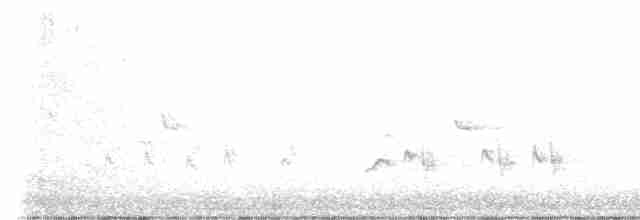 Rotsteiß-Spottdrossel - ML615552676
