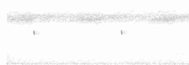 Scissor-tailed Nightjar - ML615552987