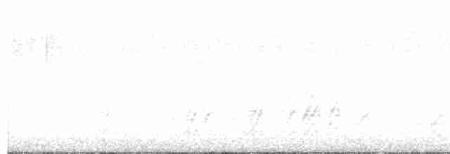 Kara Gagalı Saksağan - ML615557869
