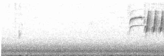 Длиннохвостый крапивник - ML615558591