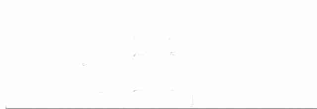Kestane Karınlı Ardıç - ML615561144