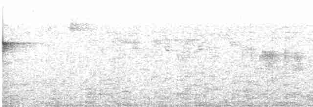 Batı Amerika Sinekkapanı (occidentalis/hellmayri) - ML615565240