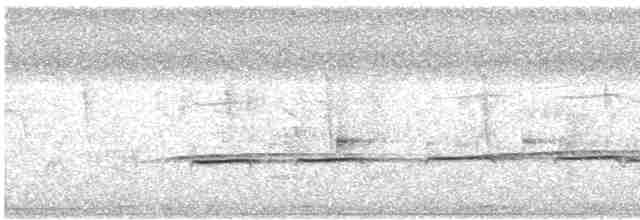 Striped Cuckoo - ML615566527