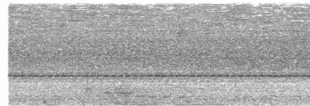 Trogon de Baird - ML615568830