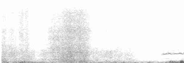 Eurasian Curlew - ML615569065