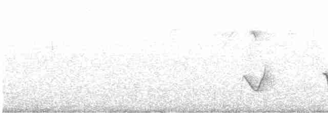 Свистун рудочеревий - ML615570305