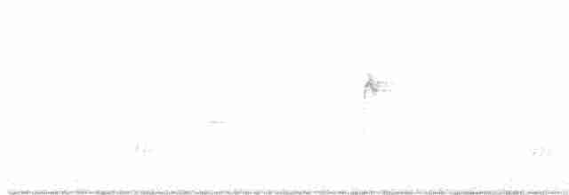 Белогорлая зонотрихия - ML615570787