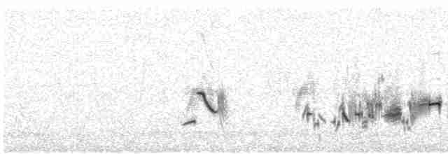 Rufous-tailed Lark - ML615571992