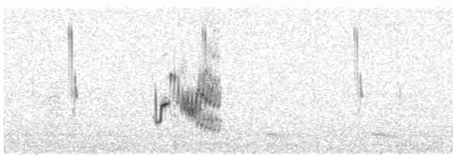 Rufous-tailed Lark - ML615571993