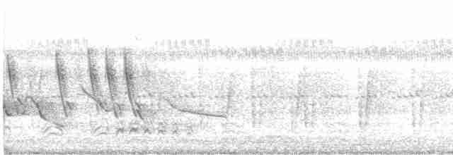 Lavandera Africana - ML615573266