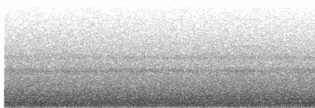 Kara Gözlü Puhucuk (colombianus) - ML615573348