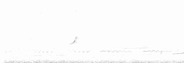 Большой кроншнеп - ML615573441