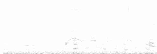 Белощёкая казарка - ML615573525