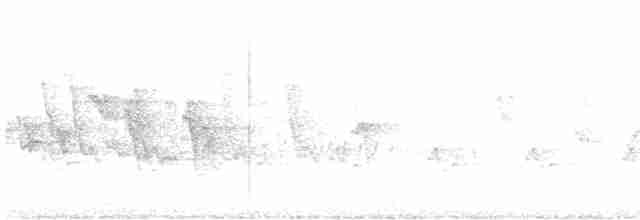 pěnicovec krátkoocasý - ML615573606
