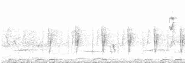 Мышиная нектарница - ML615573662