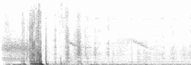 White-throated Crake - ML615573803