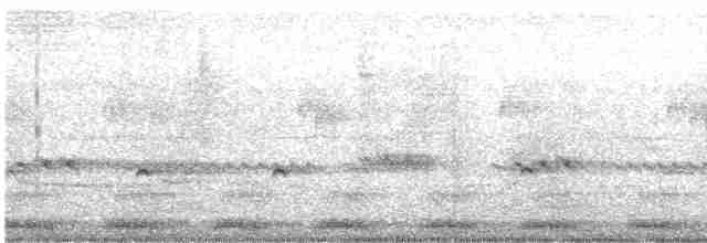 Narina Trogonu - ML615573862