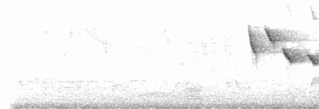 Бронзовая нектарница - ML615573866