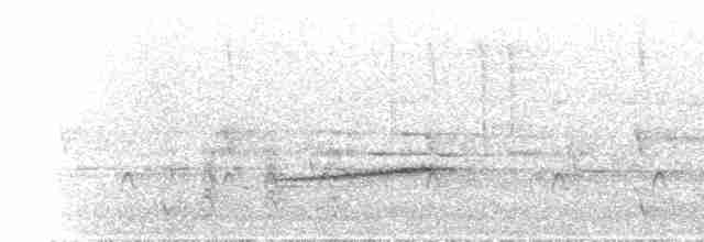 Дрізд-короткодзьоб гірський - ML615574652