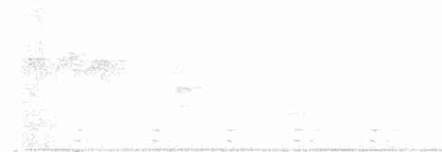 Swinhoe's Pheasant - ML615575840