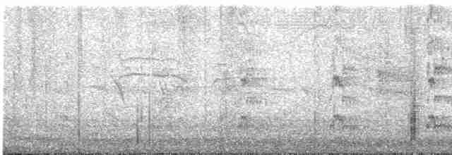 פורפיריה אפורת-ראש - ML615575987